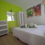 Casa Aloe Vera